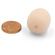 Bubblebee Industries The Microphone Foam for Lavalier Mics Pop Filter (Large, Beige, 5-Pack)