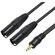 Titan Stereo Mini Male to 2 XLR Male Y-Cable (0.5m)