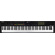 Nektar Technology Impact LX88 mk3 USB MIDI Controller Keyboard