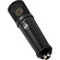 Warm Audio WA-87jr Large-Diaphragm Multipattern Condenser Microphone (Black)