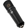 Warm Audio WA-87jr SE Large-Diaphragm Cardioid Condenser Microphone (Black)