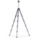Ulanzi OMBRA II Tripod (Black)