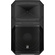 Electro-Voice EVIVA 15P 15" 2-Way 1000W Active Loudspeaker