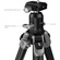 SmallRig 5478 Portable Photo Carbon Fiber Tripod