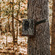 Browning Dark Ops Full HDR 40MP Trail Camera