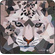 SmallRig 6038 Wild China Film Series Camera Wrap (Snow Leopard Pattern)