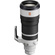 Sony FE 100-400mm f/4.5 GM OSS Lens