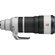 Sony FE 100-400mm f/4.5 GM OSS Lens