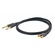 Proel Challenge Stereo MRCA to TS Cable (3m, Pair)