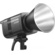 Godox Litemons LE300R RGB LED Monolight (Black)