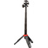 JOBY HandyPod Clip Extend Tripod