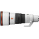 Sony FE 600mm f/6.3 GM OSS Lens (Sony E)