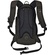 Lowepro Flipside 200 Backpack (Black)