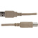 Hosa USB-205AB High Speed USB Cable 5ft