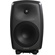 Genelec 8250A DSP Two-Way Monitor System