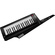 Korg RK-100S - "Keytar" Controller Keyboard and Modeling Synthesizer (Black)