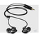 Shure SE102 MicroDriver Sound Isolating Headphones