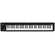 Korg microKEY2 61 USB Keyboard Controller
