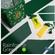 3Doodler PLA Single Color Plastic Pack (Rainforest Green, 100 Strands)