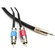 Pro Co Sound Stereo Mini (3.5mm) to 2 RCA Male Soundcard Patch Y-Cable - 10'