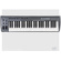 M-Audio KeyStudio 49i