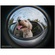 Lensbaby 5.8mm f/3.5 Circular Fisheye Lens for Sony E