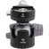 Really Right Stuff BH-55 Ball Head with Screw-Knob Panning Clamp