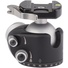 Really Right Stuff BH-55 Ball Head with Full-Size Lever-Release Clamp
