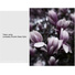 Lensbaby Double Glass Optic