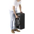 Sony MHCV11 High-Power Home Audio System with Bluetooth
