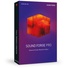 MAGIX SOUND FORGE Pro 12 Upgrade (Download)