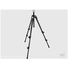 Manfrotto 190XDB Tripod (Black)
