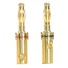 DYNAMIX Banana Plugs Gold Plated Secure Double Screws (1 Pair)