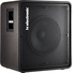 TC Electronic RS115 Bass Cabinet Speaker