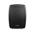 Phonic Safari 2000P 200W 8" Passive Expansion Speaker