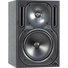 Behringer TRUTH B2030A Active 2-Way Reference Studio Monitor