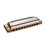 Hohner MS Series Blues Harmonica in G