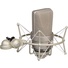 Neumann TLM 103 Mono Set Large-Diaphragm Condenser Microphone (Nickel)