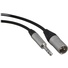 Canare Starquad XLRM-TRSM Cable (Black, 35')