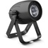 Cameo Q-SPOT 40 RGBW Compact Spotlight with 40W RGBW LED in Black Housing