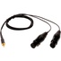 Microphone Madness Dual XLR Female to 1/8" (3.5mm) Stereo Male Mini-Plug Adapter Cable