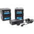 Fxlion BP-M200 Dual Square Compact Battery & Charger Kit (198Wh, V-Mount)