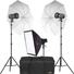 Angler 3-Monolight Portrait Backlight Kit with Bag