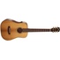 Cort Gold-Mini Acoustic Guitar With Case (Natural)