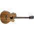 Cort SFX-DAO Acoustic Electric Guitar (Natural)