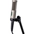 Royer Labs R-10 Large-Element Ribbon Microphone (Single)