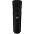 Warm Audio WA-87 R2 Multi-Pattern Condenser Microphone (Black)