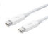 Apple Thunderbolt Cable (2.0M) (White)