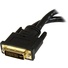 StarTech DVI-I Male to DVI-D and VGA Female Wyse Splitter Cable (0.2m)