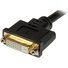 StarTech DVI-I Male to DVI-D and VGA Female Wyse Splitter Cable (0.2m)